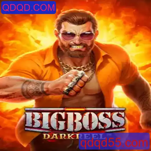 Explorando o Fascinante Mundo de BigBoss
