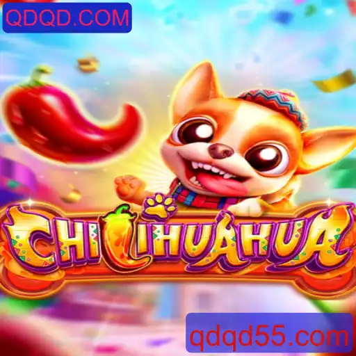 Explorando as Aventuras de CHILIHUAHUA e a Conexão com QDQD.COM